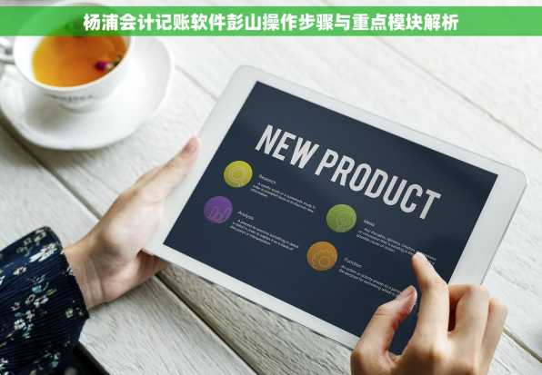 杨浦会计记账软件彭山操作步骤与重点模块解析