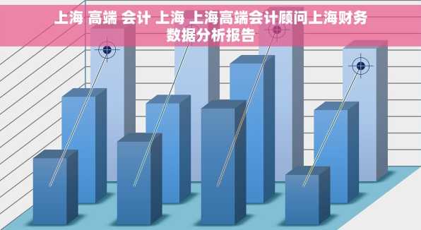 上海 高端 会计 上海 上海高端会计顾问上海财务数据分析报告