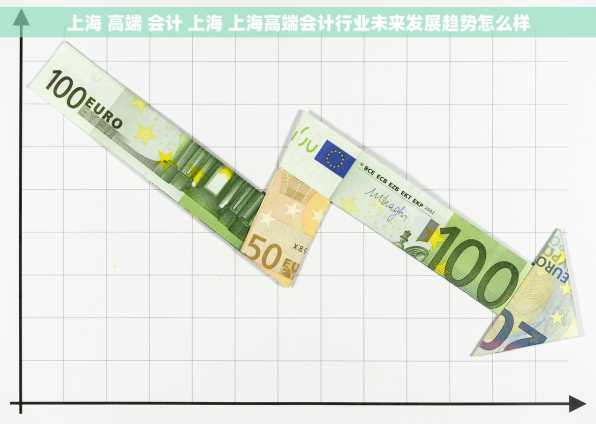 上海 高端 会计 上海 上海高端会计行业未来发展趋势怎么样