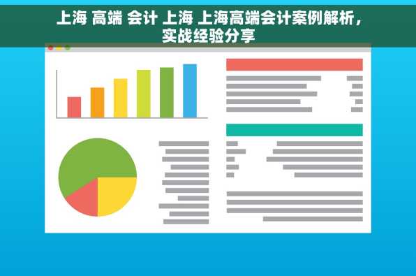 上海 高端 会计 上海 上海高端会计案例解析，实战经验分享