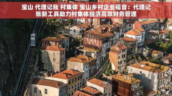 宝山 代理记账 村集体 宝山乡村企业福音：代理记账新工具助力村集体经济高效财务管理