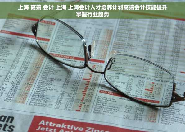 上海 高端 会计 上海 上海会计人才培养计划高端会计技能提升掌握行业趋势