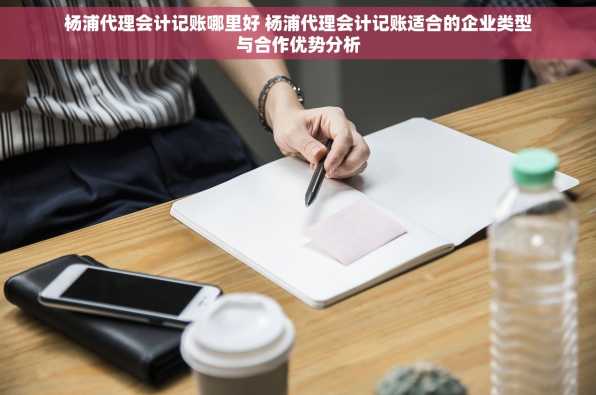 杨浦代理会计记账哪里好 杨浦代理会计记账适合的企业类型与合作优势分析