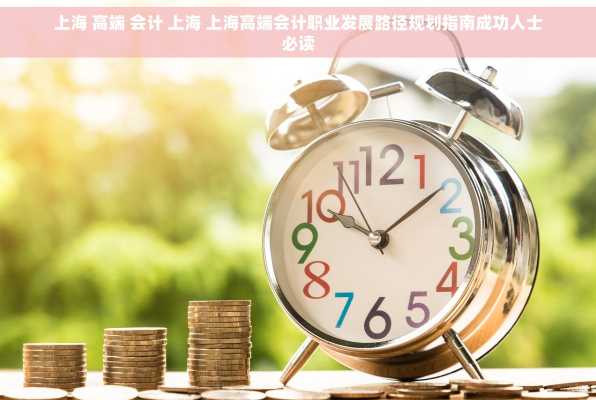 上海 高端 会计 上海 上海高端会计职业发展路径规划指南成功人士必读