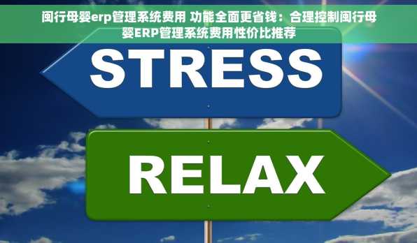 闽行母婴erp管理系统费用 功能全面更省钱：合理控制闽行母婴ERP管理系统费用性价比推荐