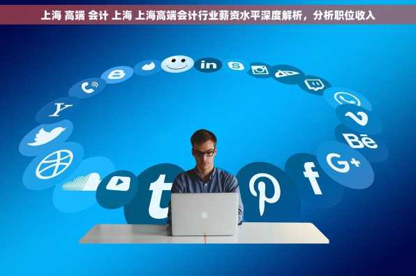上海 高端 会计 上海 上海高端会计行业薪资水平深度解析，分析职位收入