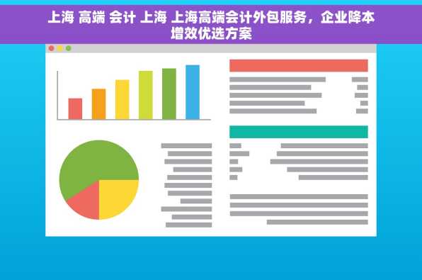 上海 高端 会计 上海 上海高端会计外包服务，企业降本增效优选方案