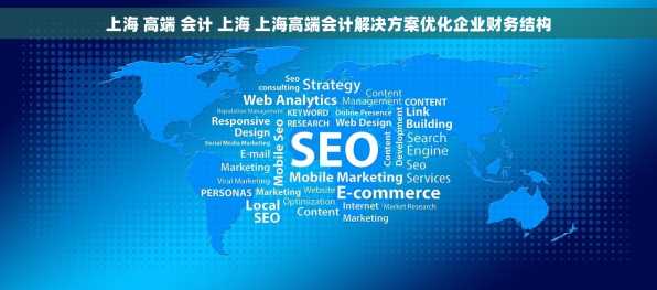 上海 高端 会计 上海 上海高端会计解决方案优化企业财务结构