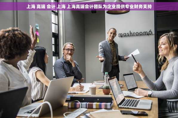 上海 高端 会计 上海 上海高端会计团队为企业提供专业财务支持