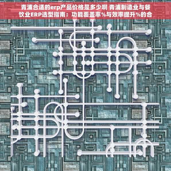 青浦合适的erp产品价格是多少啊 青浦制造业与餐饮业ERP选型指南：功能覆盖率%与效率提升%的合理价格解析