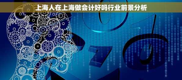 上海人在上海做会计好吗行业前景分析