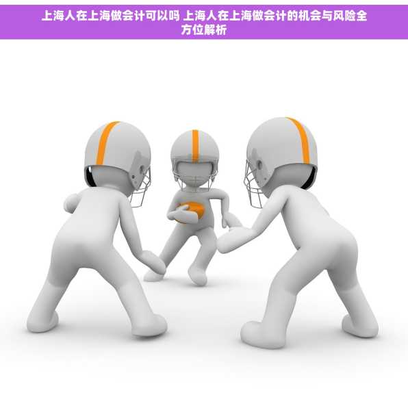 上海人在上海做会计可以吗 上海人在上海做会计的机会与风险全方位解析