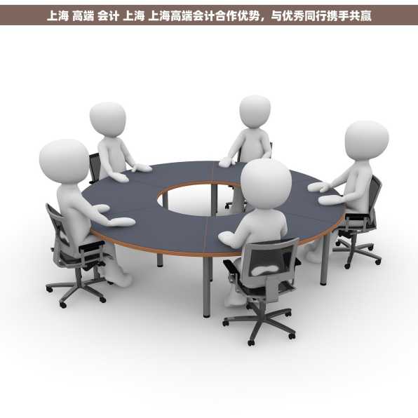 上海 高端 会计 上海 上海高端会计合作优势，与优秀同行携手共赢
