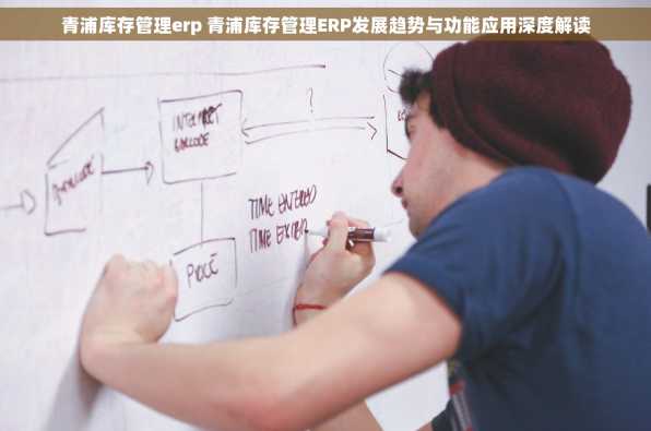 青浦库存管理erp 青浦库存管理ERP发展趋势与功能应用深度解读