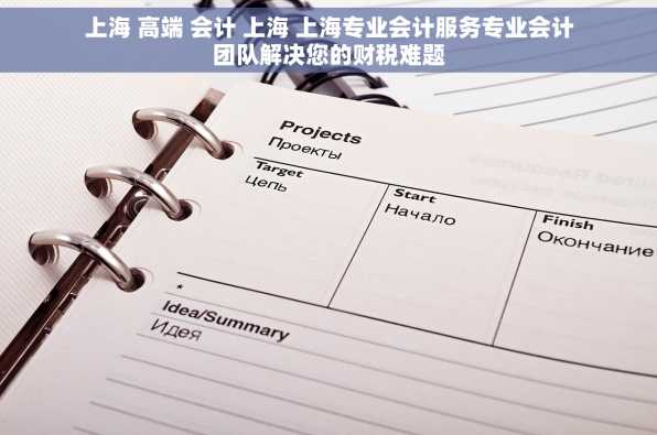上海 高端 会计 上海 上海专业会计服务专业会计团队解决您的财税难题