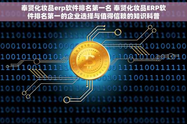 奉贤化妆品erp软件排名第一名 奉贤化妆品ERP软件排名第一的企业选择与值得信赖的知识科普
