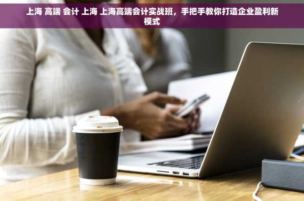 上海 高端 会计 上海 上海高端会计实战班，手把手教你打造企业盈利新模式
