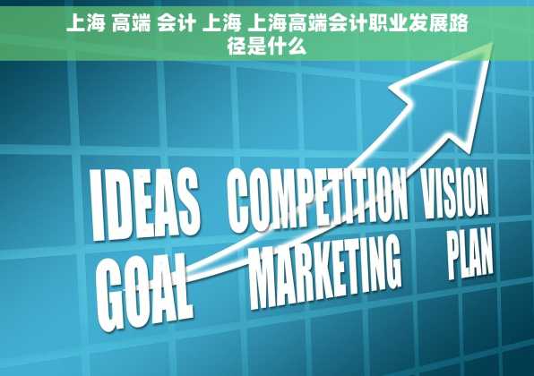 上海 高端 会计 上海 上海高端会计职业发展路径是什么