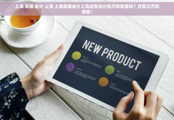 上海 高端 会计 上海 上海高端会计上海这些会计技巧你知道吗？月薪过万的秘密！