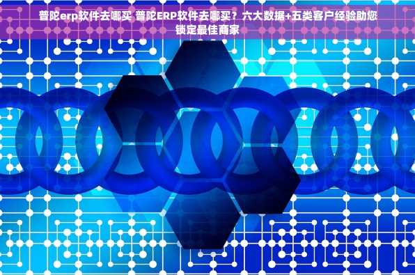 普陀erp软件去哪买 普陀ERP软件去哪买？六大数据+五类客户经验助您锁定最佳商家