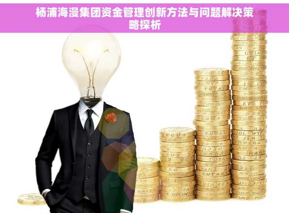 杨浦海漫集团资金管理创新方法与问题解决策略探析