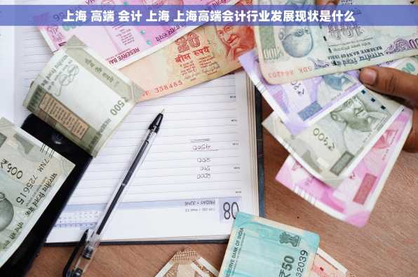 上海 高端 会计 上海 上海高端会计行业发展现状是什么