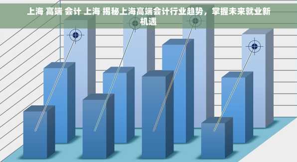 上海 高端 会计 上海 揭秘上海高端会计行业趋势，掌握未来就业新机遇