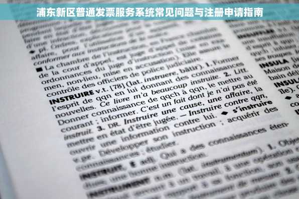 浦东新区普通发票服务系统常见问题与注册申请指南