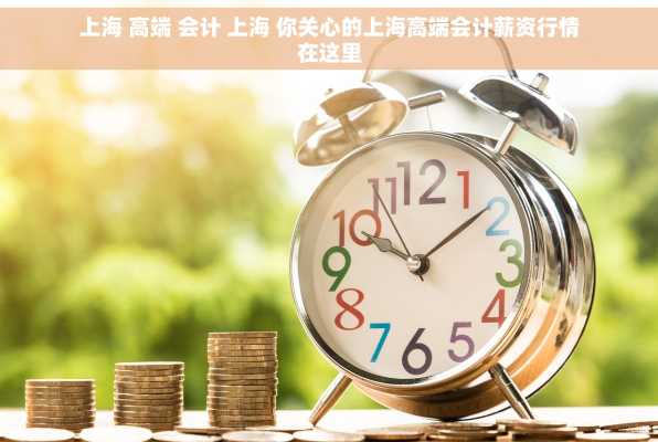 上海 高端 会计 上海 你关心的上海高端会计薪资行情在这里