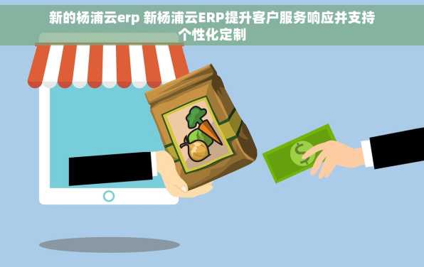 新的杨浦云erp 新杨浦云ERP提升客户服务响应并支持个性化定制