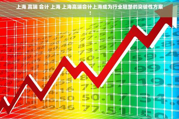 上海 高端 会计 上海 上海高端会计上海成为行业翘楚的突破性方案！