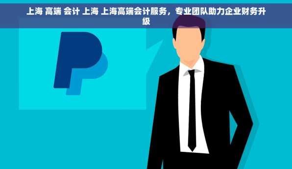 上海 高端 会计 上海 上海高端会计服务，专业团队助力企业财务升级