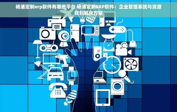 杨浦定制erp软件有哪些平台 杨浦定制ERP软件：企业管理系统与资源规划解决方案