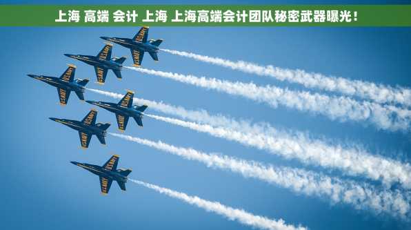 上海 高端 会计 上海 上海高端会计团队秘密武器曝光！