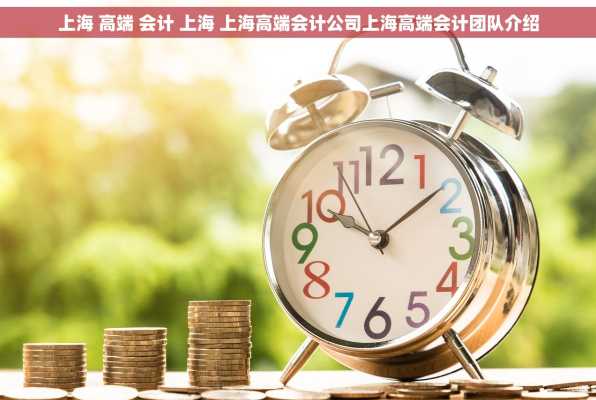 上海 高端 会计 上海 上海高端会计公司上海高端会计团队介绍