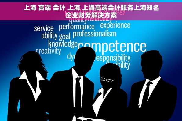 上海 高端 会计 上海 上海高端会计服务上海知名企业财务解决方案