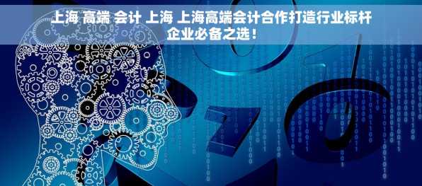 上海 高端 会计 上海 上海高端会计合作打造行业标杆企业必备之选！
