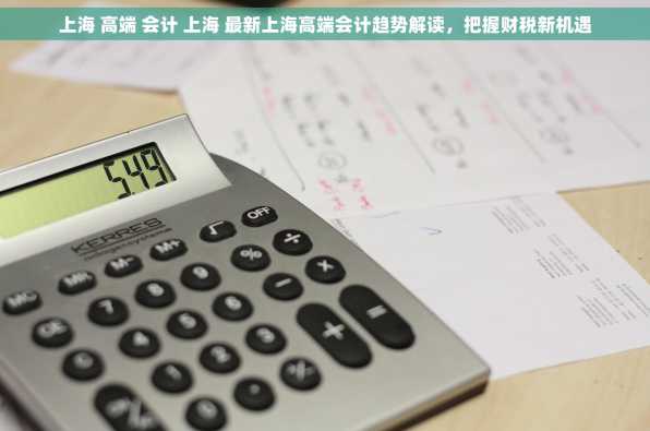 上海 高端 会计 上海 最新上海高端会计趋势解读，把握财税新机遇
