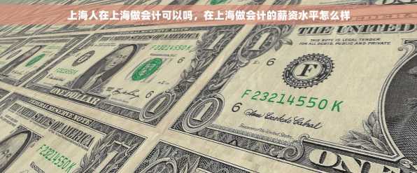 上海人在上海做会计可以吗，在上海做会计的薪资水平怎么样