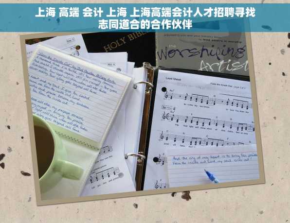 上海 高端 会计 上海 上海高端会计人才招聘寻找志同道合的合作伙伴