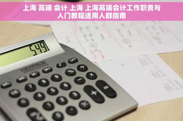 上海 高端 会计 上海 上海高端会计工作职责与入门教程适用人群指南