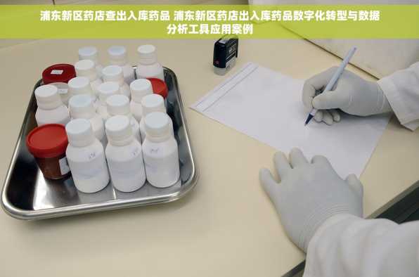 浦东新区药店查出入库药品 浦东新区药店出入库药品数字化转型与数据分析工具应用案例