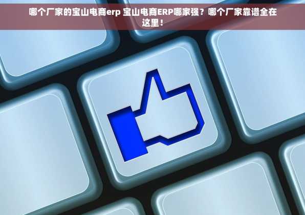 哪个厂家的宝山电商erp 宝山电商ERP哪家强？哪个厂家靠谱全在这里！