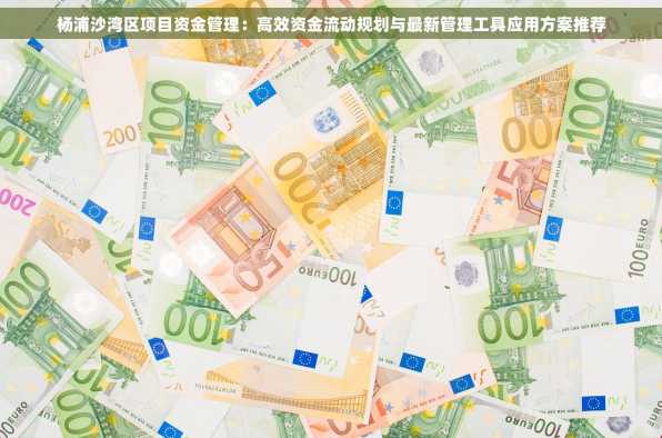 杨浦沙湾区项目资金管理：高效资金流动规划与最新管理工具应用方案推荐
