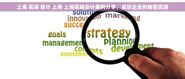 上海 高端 会计 上海 上海高端会计案例分享，成功企业的秘密武器