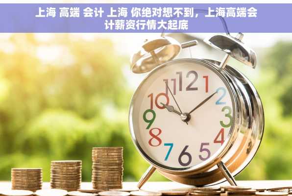 上海 高端 会计 上海 你绝对想不到，上海高端会计薪资行情大起底