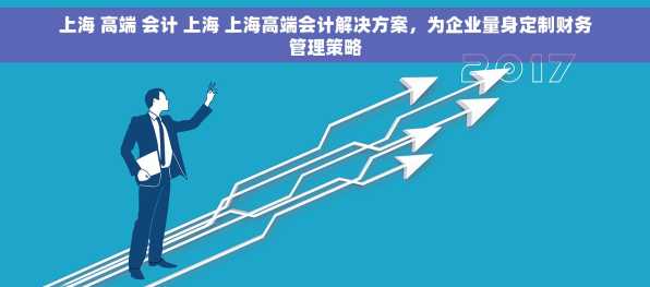 上海 高端 会计 上海 上海高端会计解决方案，为企业量身定制财务管理策略