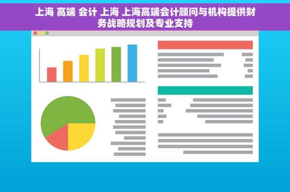 上海 高端 会计 上海 上海高端会计顾问与机构提供财务战略规划及专业支持