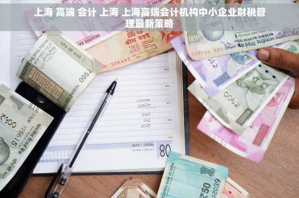 上海 高端 会计 上海 上海高端会计机构中小企业财税管理最新策略
