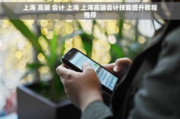 上海 高端 会计 上海 上海高端会计技能提升教程推荐
